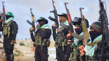 حماس تعتقد أن الرئيس ترامب قادر على تحقيق السلام في قطاع غزة