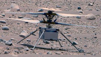 After 63 Days Of Sleep On Mars, Ingenuity Helicopter Finally Builds