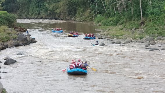 Serunya Rafting di Aliran Sungai Serayu