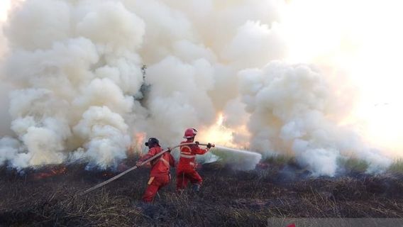 Kebekaran 9 Ha Lahan di Desa Arisan Jaya Ogan Ilir Cepat Menjalar, 30 Personil Manggala Agni Dikerahkan