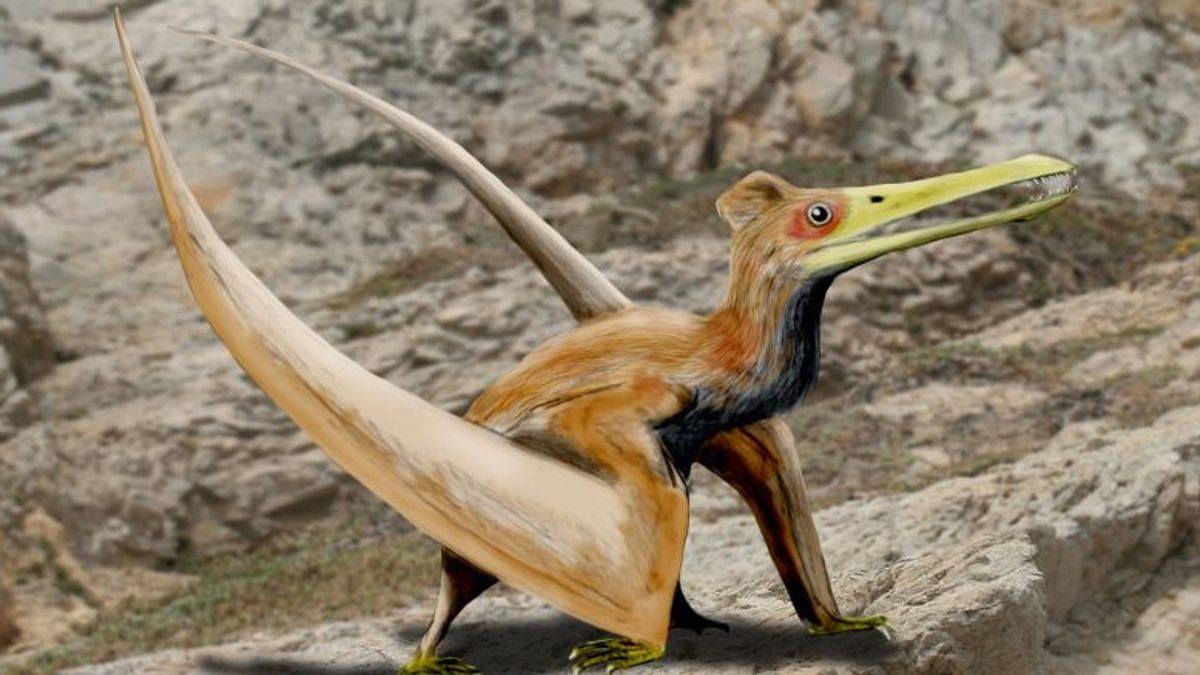 長い謎の後、これは翼竜飛行恐竜の起源です