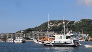 Mulai 9 Februari Ini, KSOP Izinkan Kapal Wisata Berlayar ke Pulau Padar dan Komodo