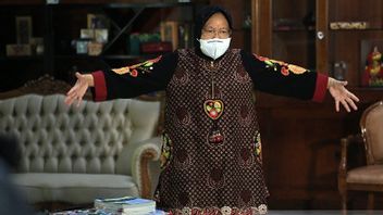 If The Performance Is Poor, Social Minister Risma's Blusukan Strategy Will Generate Public Resistance