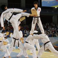 Korea Selatan Nominasikan Tradisi Ginseng dan Taekwondo Sebagai Warisan Budaya UNESCO