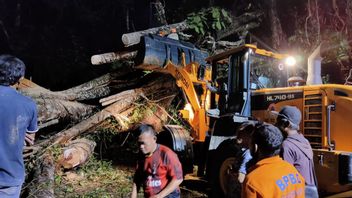 A Fallen Tree Hits A Mini Bus In Bengkulu, Two People Died