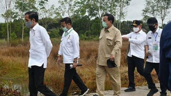 Prabowo Subianto Vise L'Indonésie Pour Avoir 1,4 Million D'hectares De Terres De Manioc