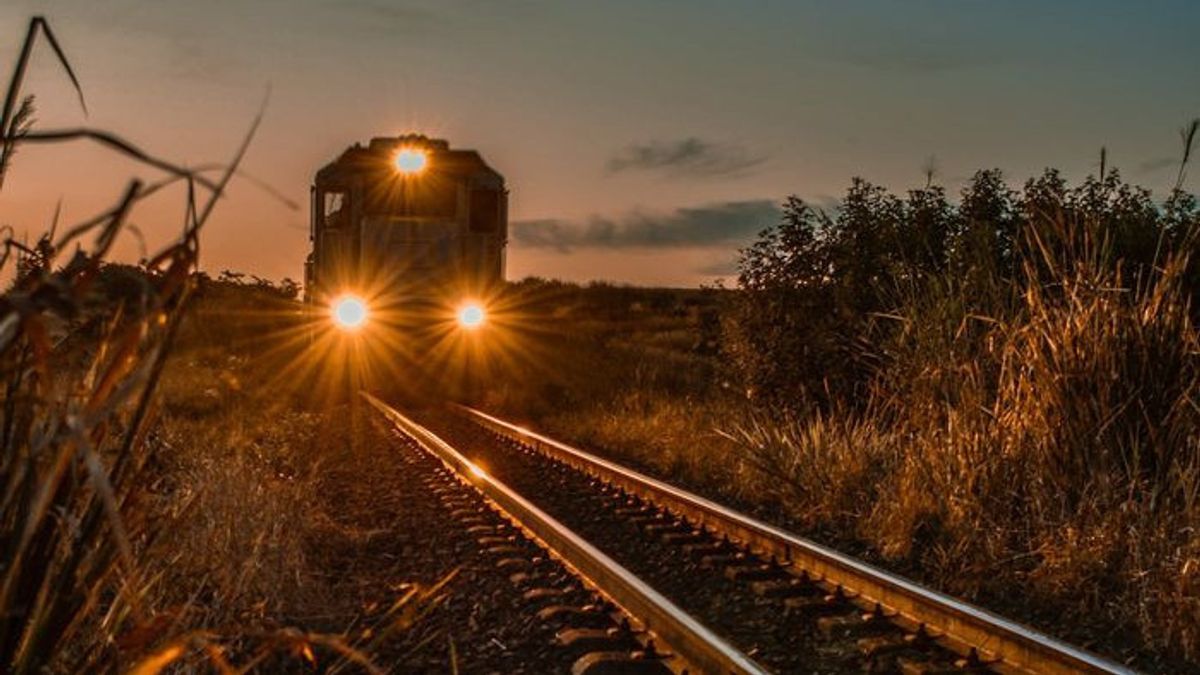 Train crashes in Denmark, 10 injured