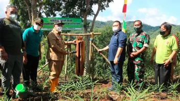 Berita Kulon Progo: Pemkab Kulon Progo Galakkan Gerakan Tanam Buah Tingkatkan Pendapatan Masyarakat