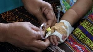 Kasus DBD di Mataram Meningkat, 55 Orang Positif, Satu di Antaranya Meninggal Dunia