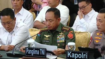 TNI Commander Ensures 162 Starlink Have Been Installed at Disaster Sites