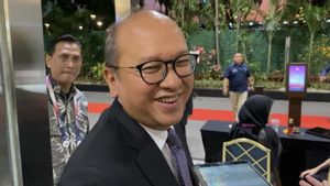 Rosan hingga Pandu Sjahrir Umumkan Struktur Lengkap Pengurus Danantara