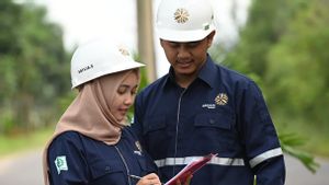 Strategy of Arsari Tambang to Pursue the KLHK Gold Proper Target