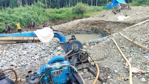 15 Penambang Emas Ilegal di Pasaman Ditangkap