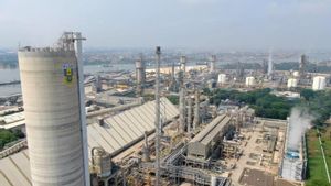 Tambah Kapasitas Produksi NPK dan Urea, Pupuk Indonesia Bakal Bangun Pabrik Baru