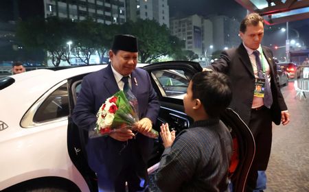 10 Hari Kunjungan Luar Negeri, Prabowo Akui Rindu Tanah Air