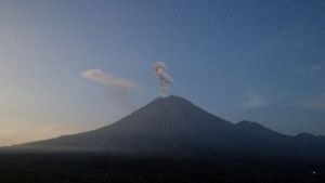 Mount Semeru Erupts Twice, Abu Capai 1 Kilometer Colon