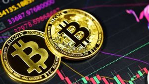 Harga Bitcoin Tergelincir di Bawah 20.000 Dolar AS, Presiden Nayib Bukele Minta Investor BTC Bersabar