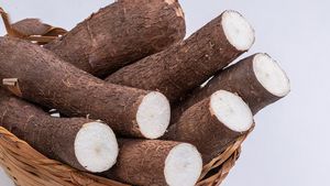 Kukus Singkong Berapa Lama untuk Dapatkan Manfaat Kesehatan? Cek Penjelasan Lengkapnya