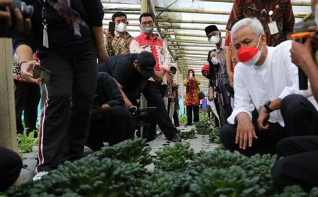 Ganjar Pranowo Temui Pelestari Anggrek Merapi, Ada Peran Megawati di Balik Kedatangannya