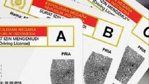 Perbedaan SIM Format Baru dan Lama: Berikut Pembahasan Lengkapnya