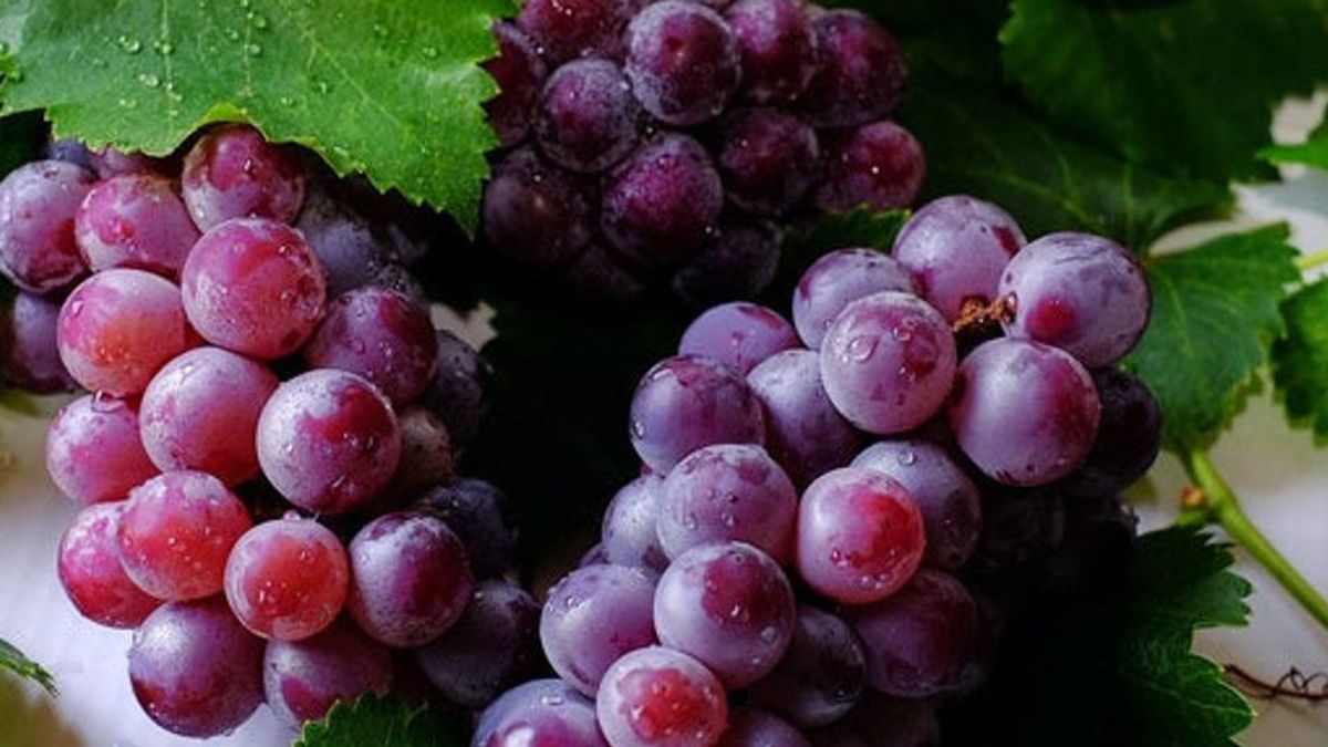 5 Kandungan Buah Anggur yang Mendatangkan Kesehatan untuk Anda