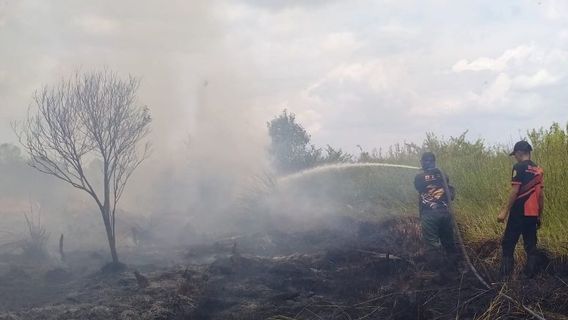 Until September 197.42 Hectares Of Peat Land Burned, The Joint Team Ordered The Karhutla Patrol