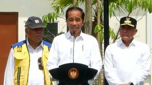 Berkaca Lawatan di Afrika, Jokowi Sebut Sumber Daya Air Penting