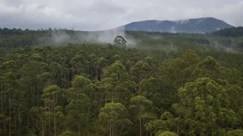 ウォリはジュルム大臣に環境承認を評価し、厳格化するよう求めた