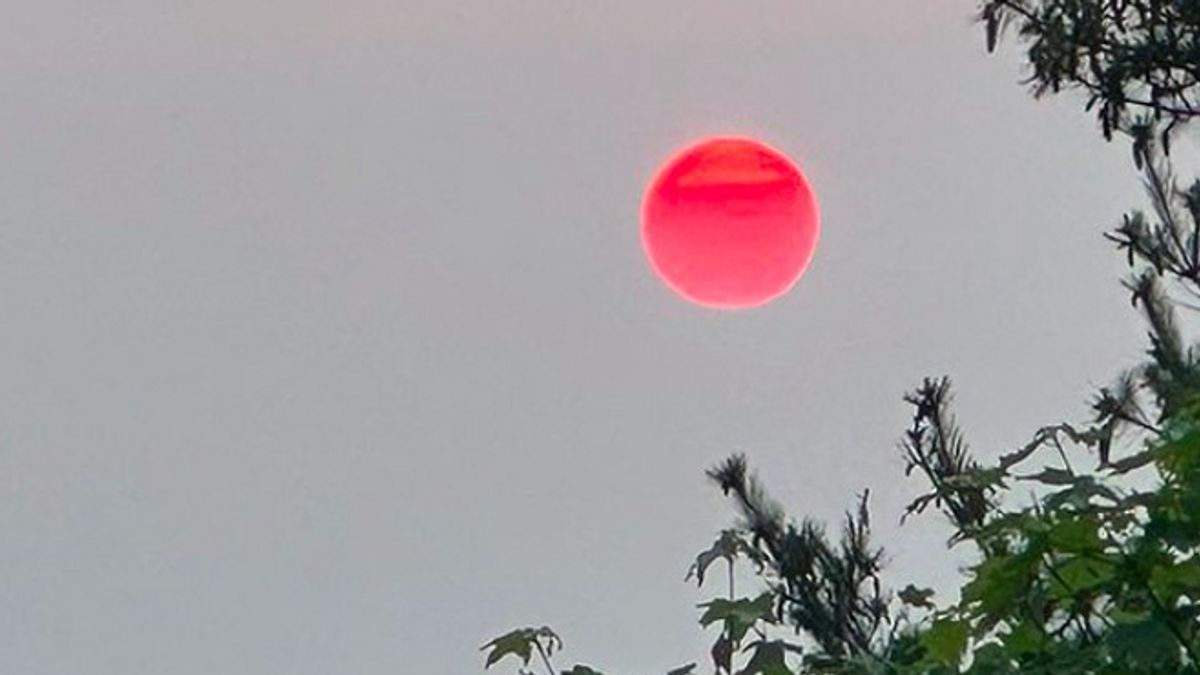 The Phenomenon Of The Red Sun In America Looks Charming, But The Cause Makes You Concerned