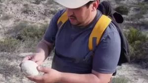 Ilmuwan Temukan Telur Dinosaurus Nyaris Sempurna di Patagonia