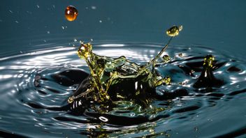 Shocked! This is the Effect of Gasoline Mixed with Ethanol on Daily Vehicles