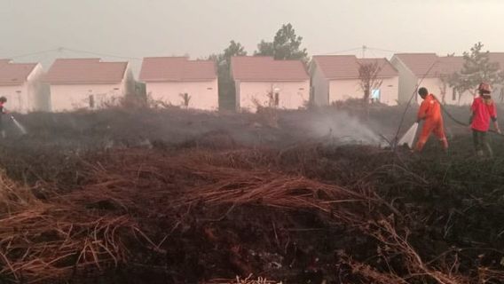 Di Pulau Lokasi IKN Muncul Karhutla, Tepatnya di Kecamatan Pontianak Selatan