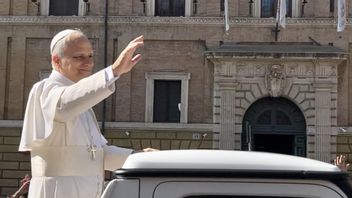 البابا ليو: النصر المسلح لا يمكن أن يحل محل ألم الأم وخوف الأطفال