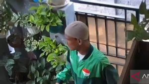 Pria Berjaket Ojol Terekam CCTV Curi Handphone Vivo Harga Rp5 Juta