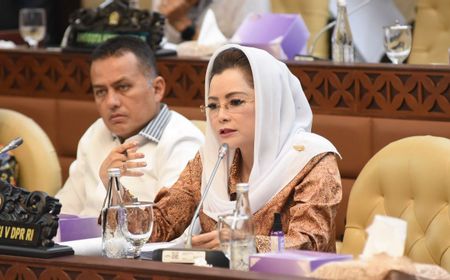 PPN 12 Persen, Gerindra Tuding PDI Perjuangan Lempar Tanggung Jawab