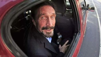 John McAfee Controversy From Antivirus Boss To Death Hanging Himself In Prison