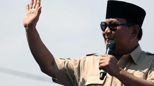 Elektabilitas Prabowo Subianto Tinggi, Sufmi Dasco: Survei Puspoll Menambah Semangat Kader Gerindra