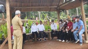 Ganjar Pranowo Dorong Kemajuan Industri Desa Lewat Produk Olahan Kelapa Genjah