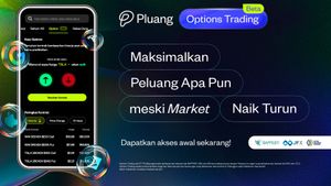 Pluang Luncurkan Opsi Saham AS, Terobosan Baru dalam Investasi di Indonesia