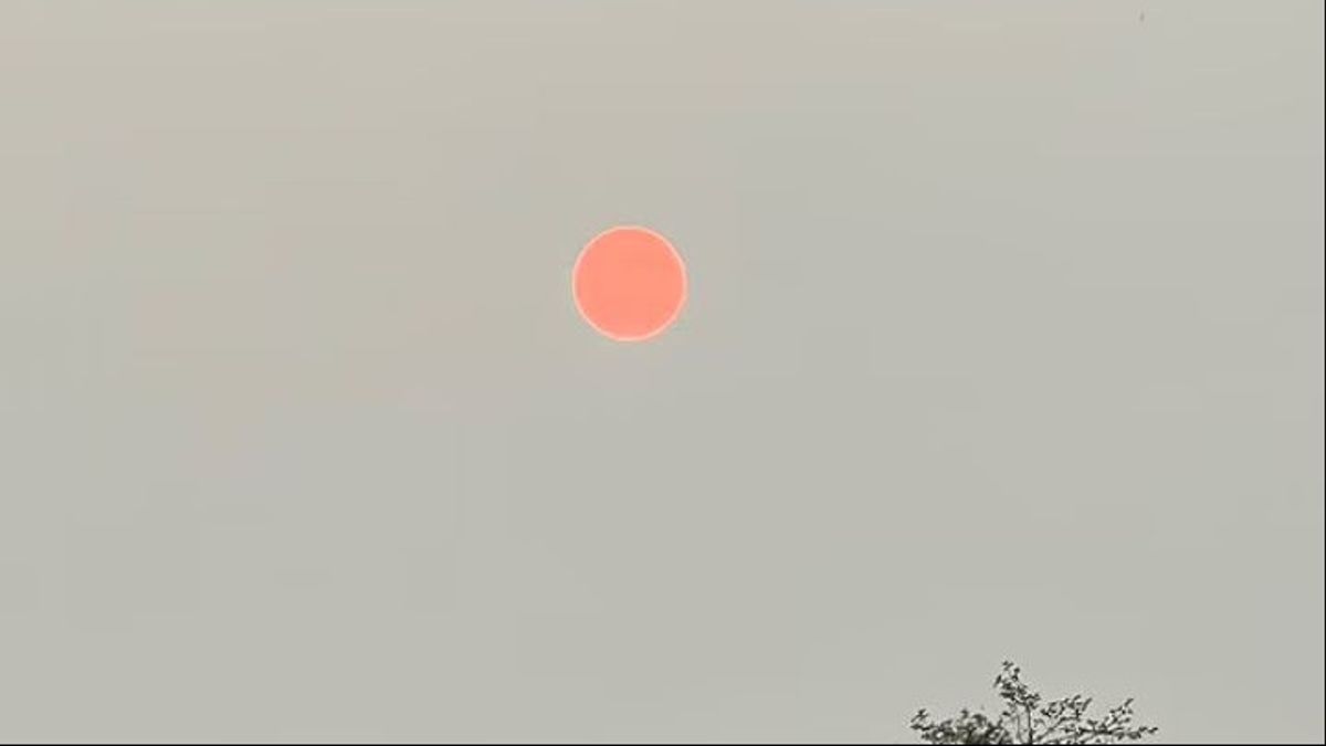 The Forest Fire In Canada Causes A Bright Red Sun, Here's The Reason