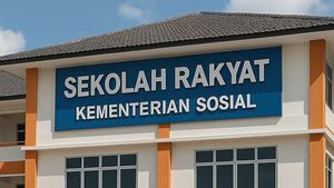 67 Public Schools Ready by July, Government Targets School Dropouts