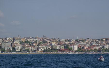 Ikan Terbang Muncul di Laut Marmara Turki, Warga Diminta Berhati-hati