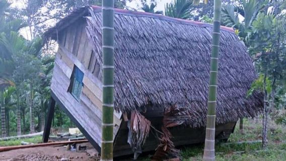 BKSDA Aceh Atasi Gangguan Gajah dengan Pembakaran Mercon