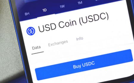 Circle USDC Bermitra dengan Fintech Asal Chili Mercado Pago