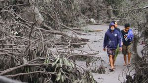 Erupsi Gunung Semeru, Sri Mulyani Siagakan Bantuan APBN