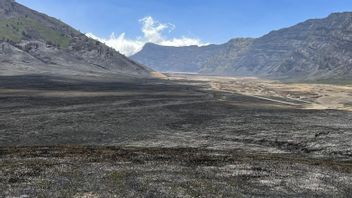 火灾后Bromo生态系统的恢复,因为闪电前排花费长达5年