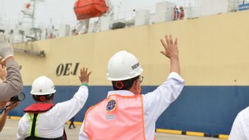 Entah Kabar Baik atau Buruk dari Menteri Budi: Jepang Bakal Ikut Kelola Pelabuhan Patimban pada Desember 2021