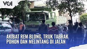 VIDEO: Akibat Rem Blong, Truk Tabrak Pohon dan Menutup Ruas Jalan