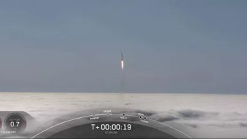 SpaceX's Falcon 9 Rocket Carrying 46 Starlink Satellites Successfully Launched On Sunday