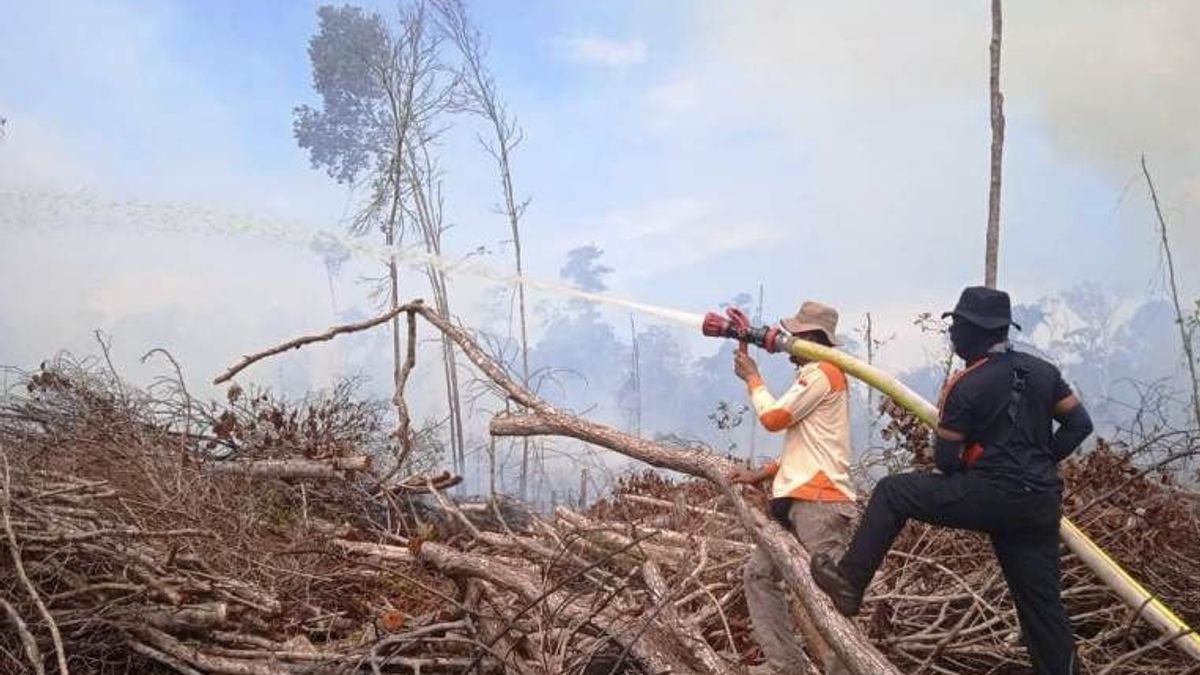 Fire Of 3 Hectares Of Peat Land In Nagan Raya Aceh Has Been Successfully Extinguished
